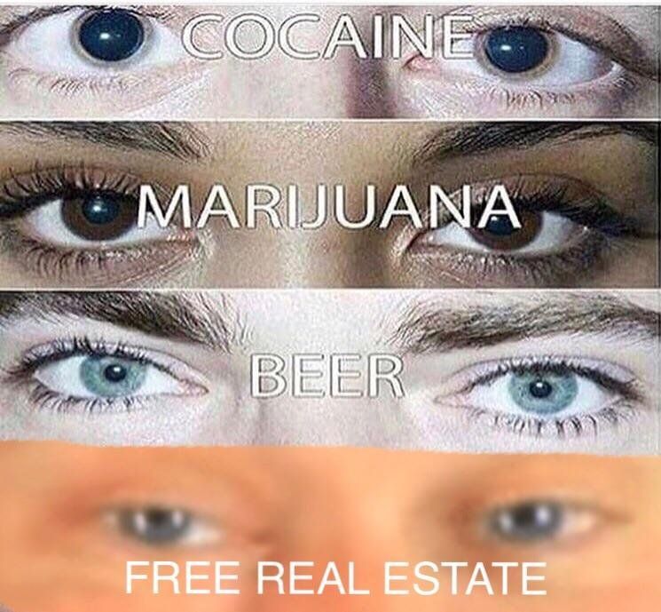 F R E E