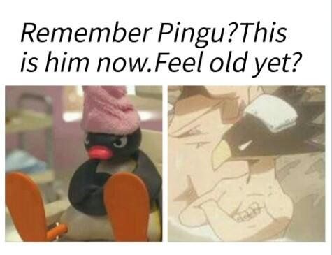 NOOT NOOT