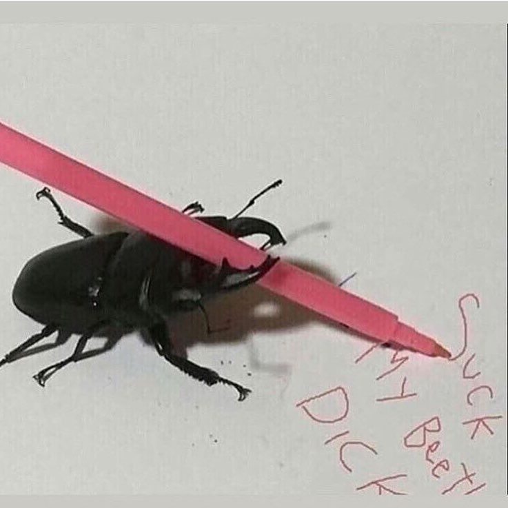 Gottem