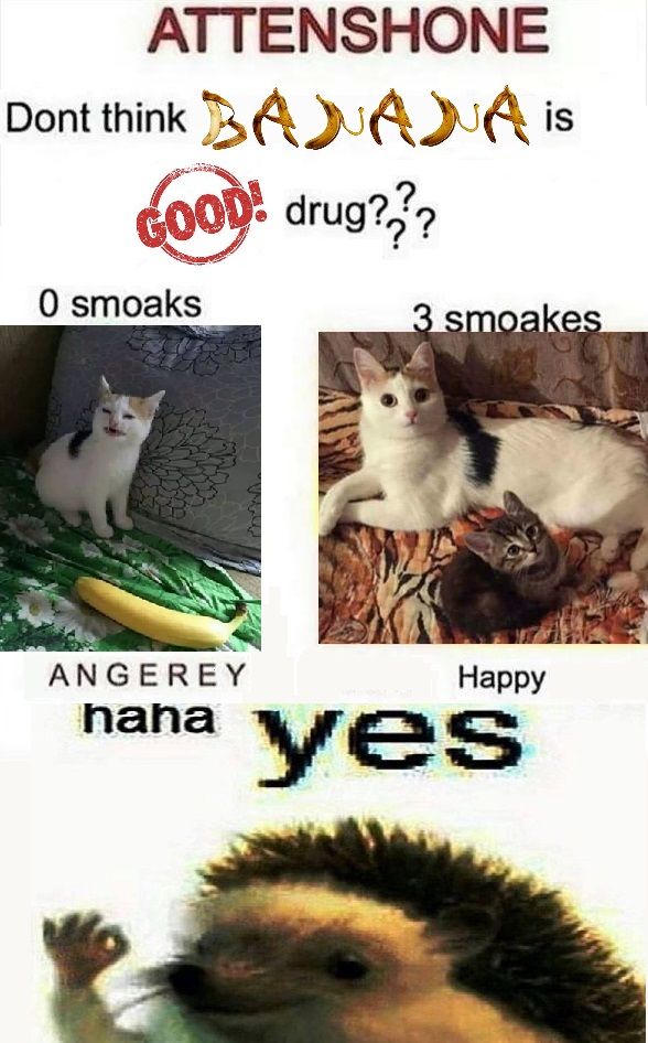 B A N A N A N A