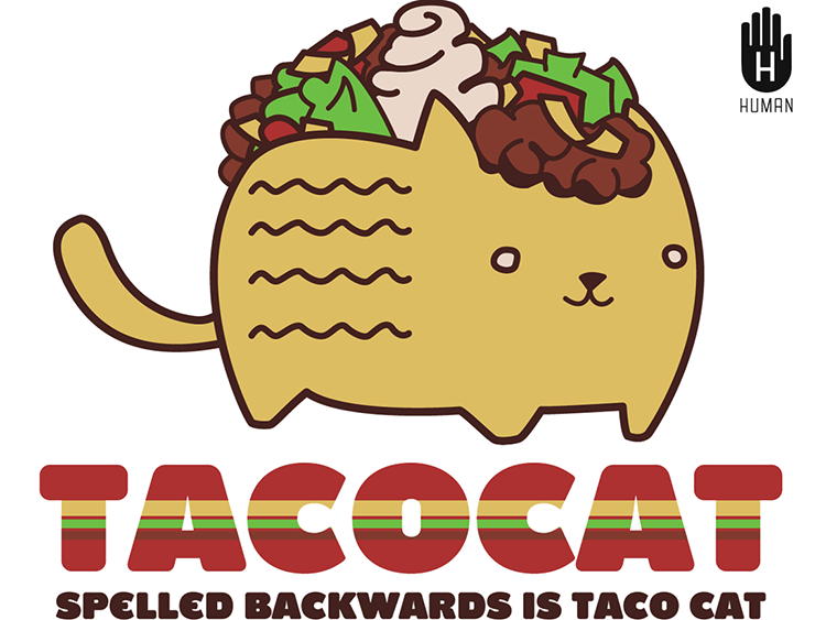 Taco cat tac ocaT