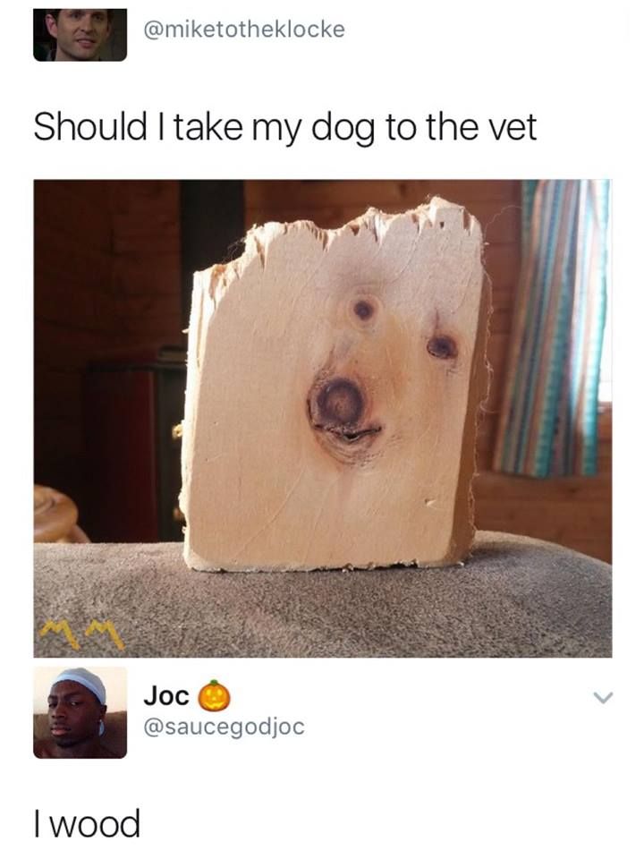He seems a bit too sturdy
