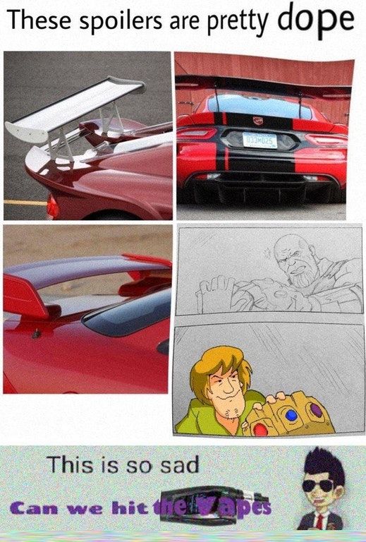 shaggy