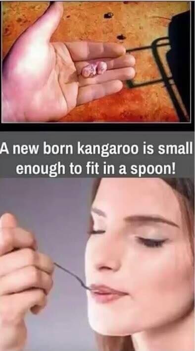 yum