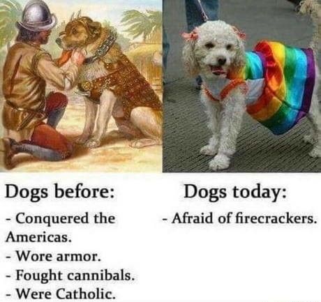 Dogs : Then vs Now