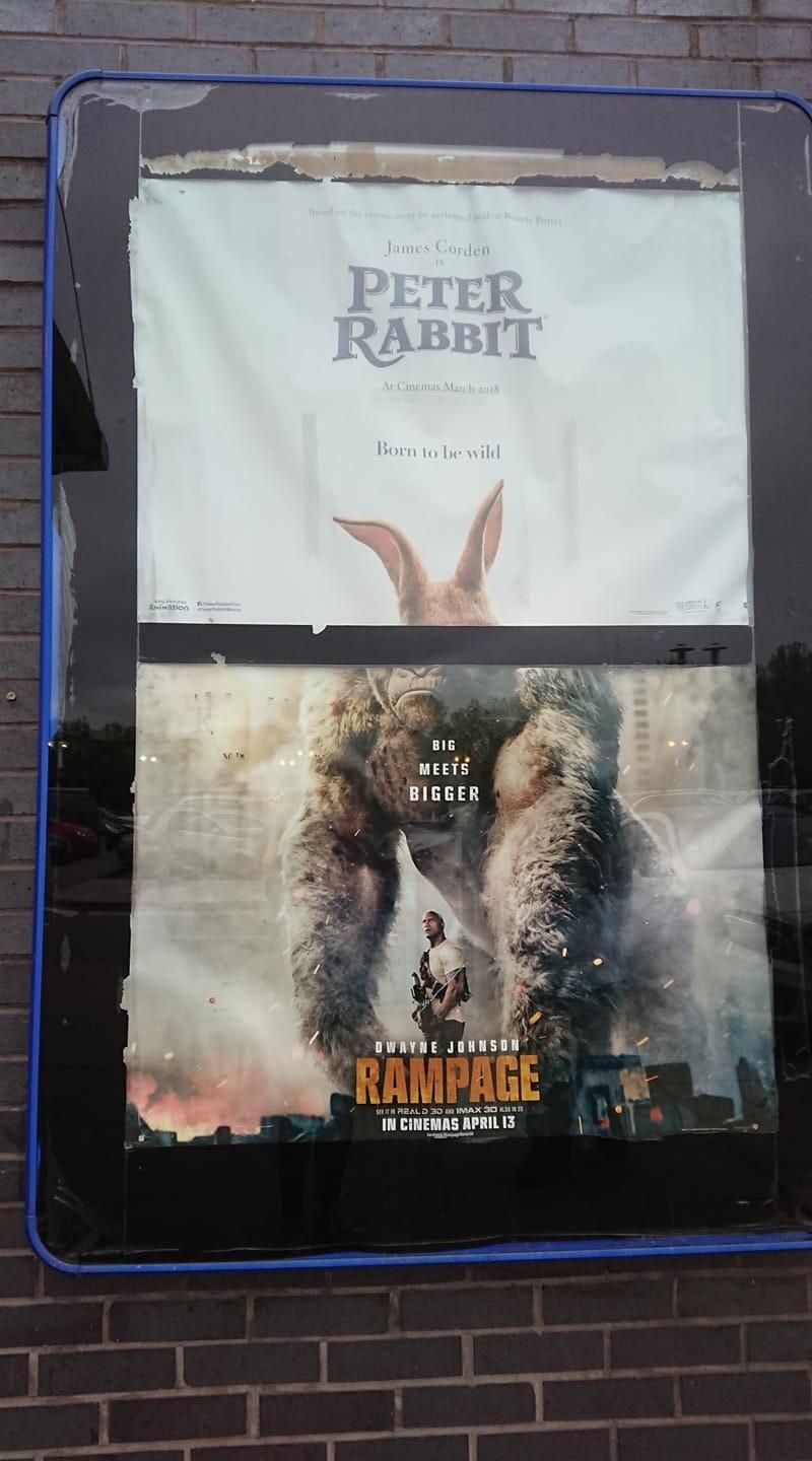 I don’t remember Peter Rabbit being this intense.
