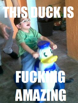 Dolan pls