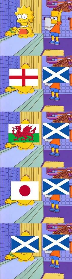 Damn Scotts