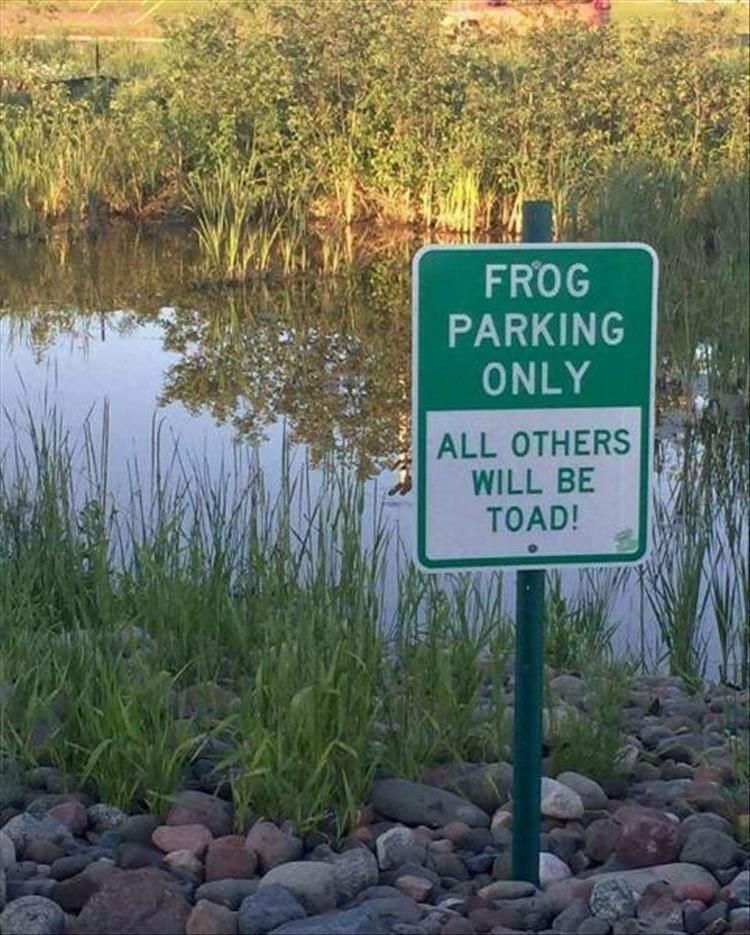 Frog parking?