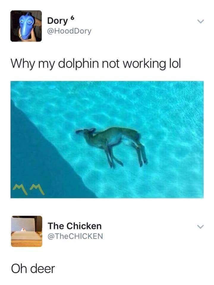 oh deer