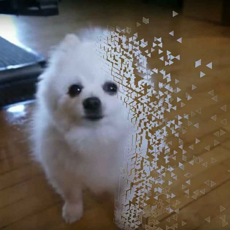 Woof... woo...f...