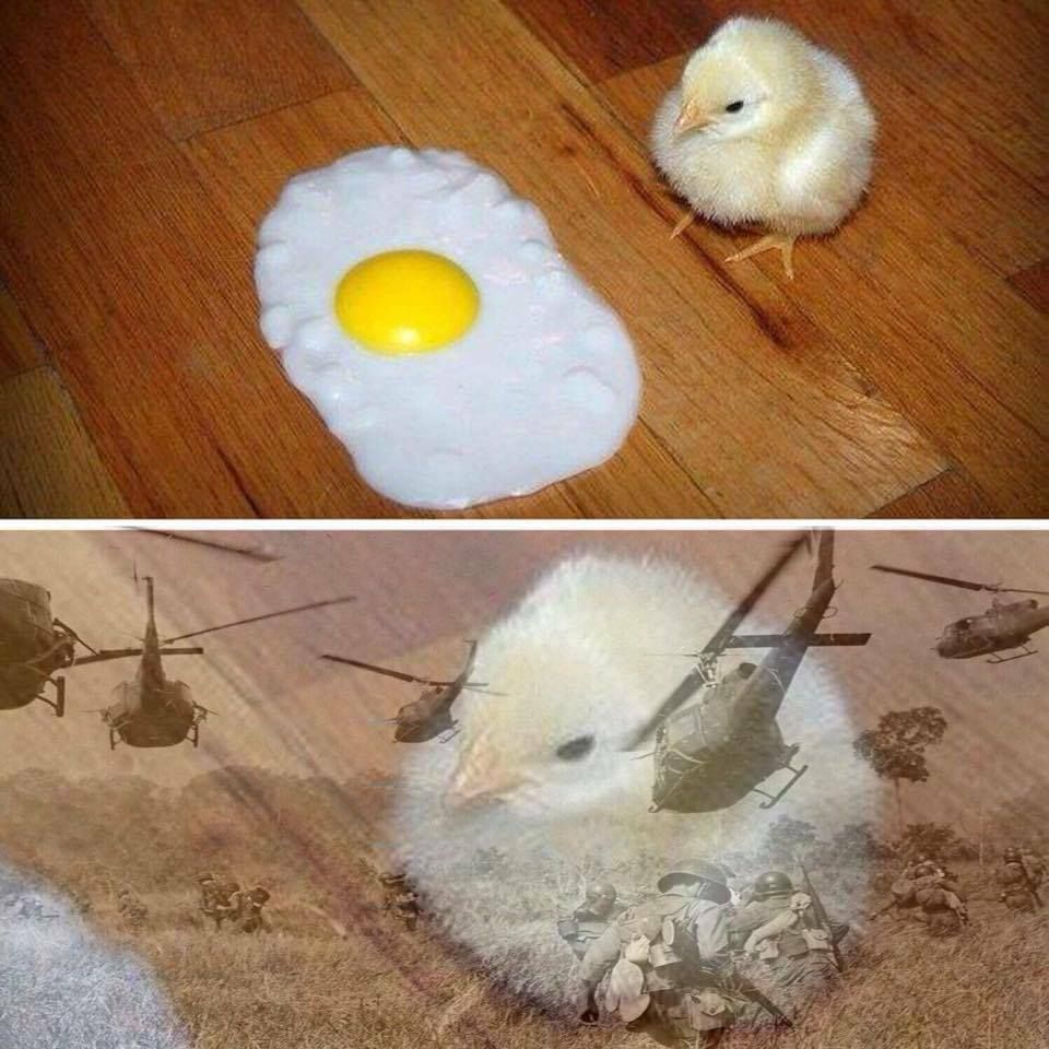 War