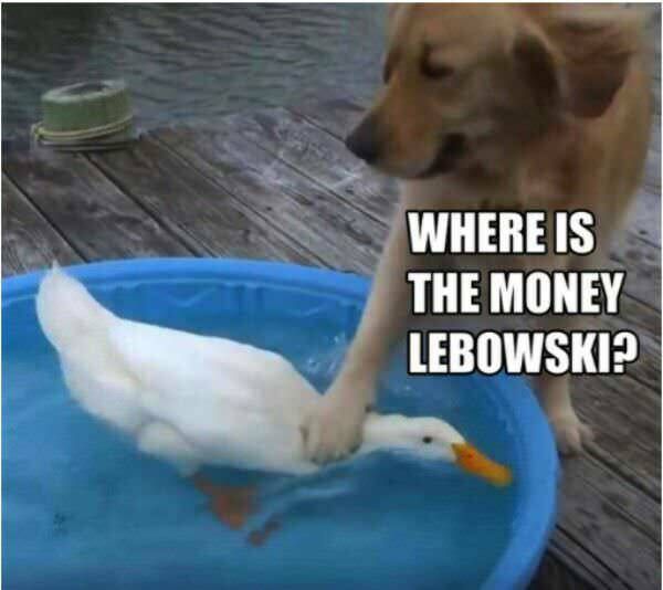 Dude