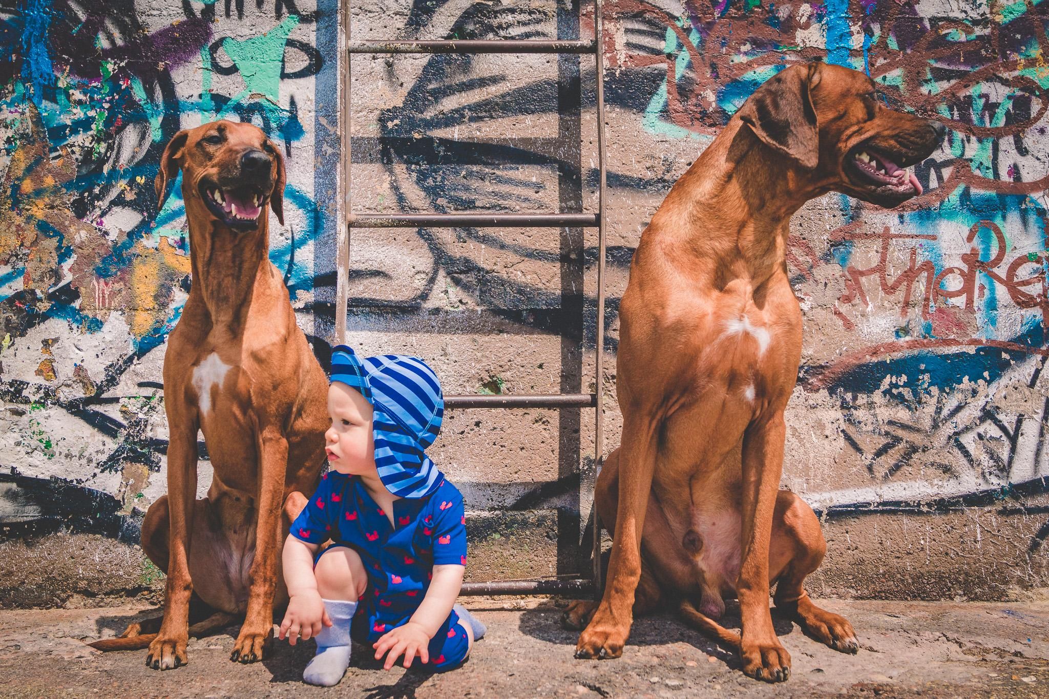 My kid and dogs might be about to drop the hottest rap album of the year?