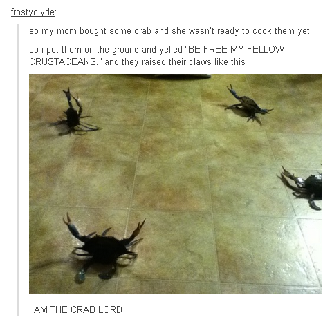 I am the crab lord!