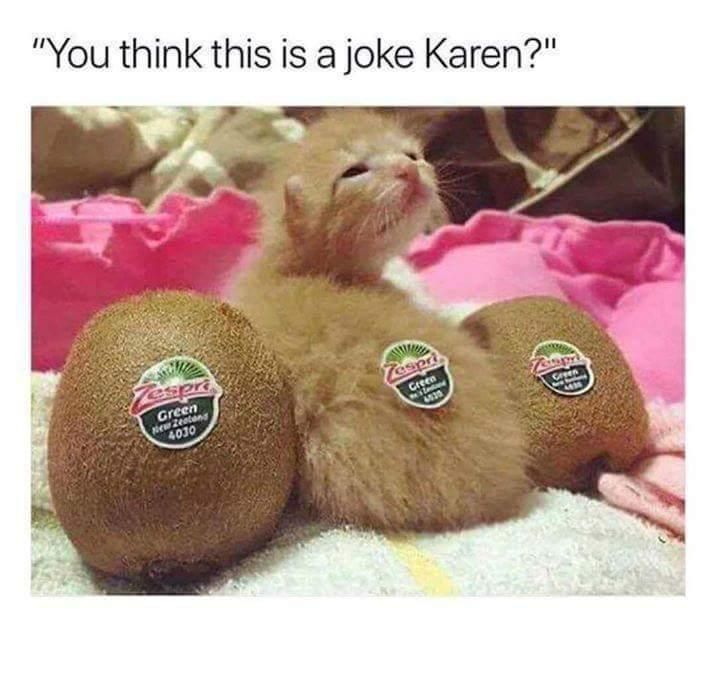 How dare you, Karen?