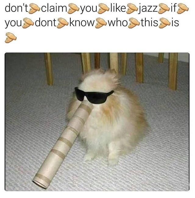 nice