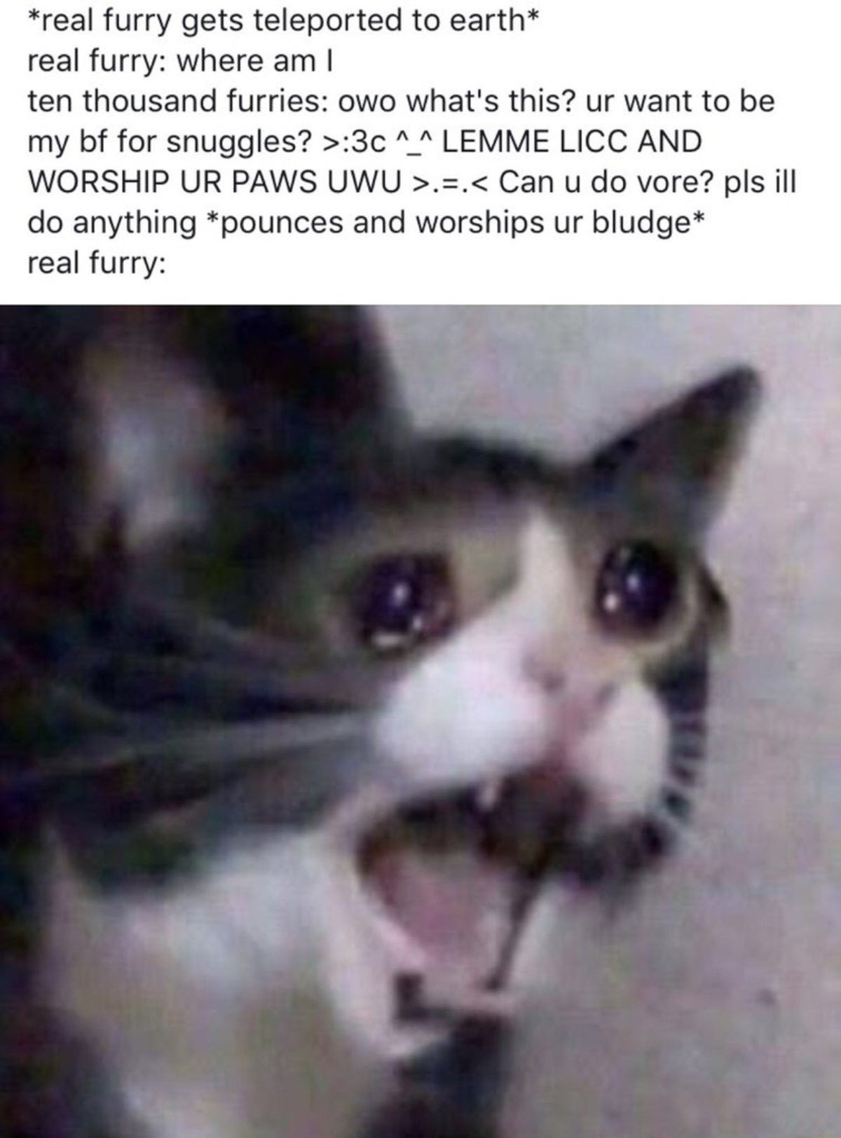 :notlikethis: