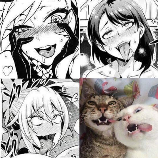 damn that looks hot