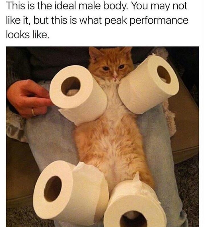 perfection