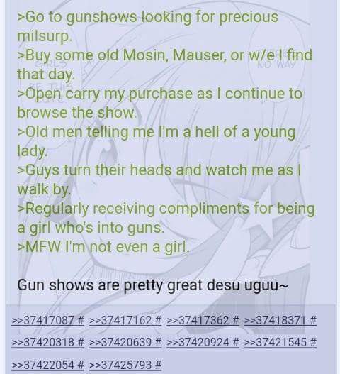 Anon is into guns