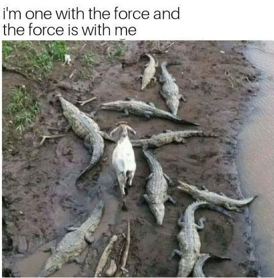 God I love Rogue One memes