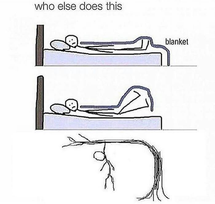 relatable
