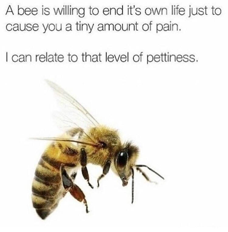 Fuggin' bees man