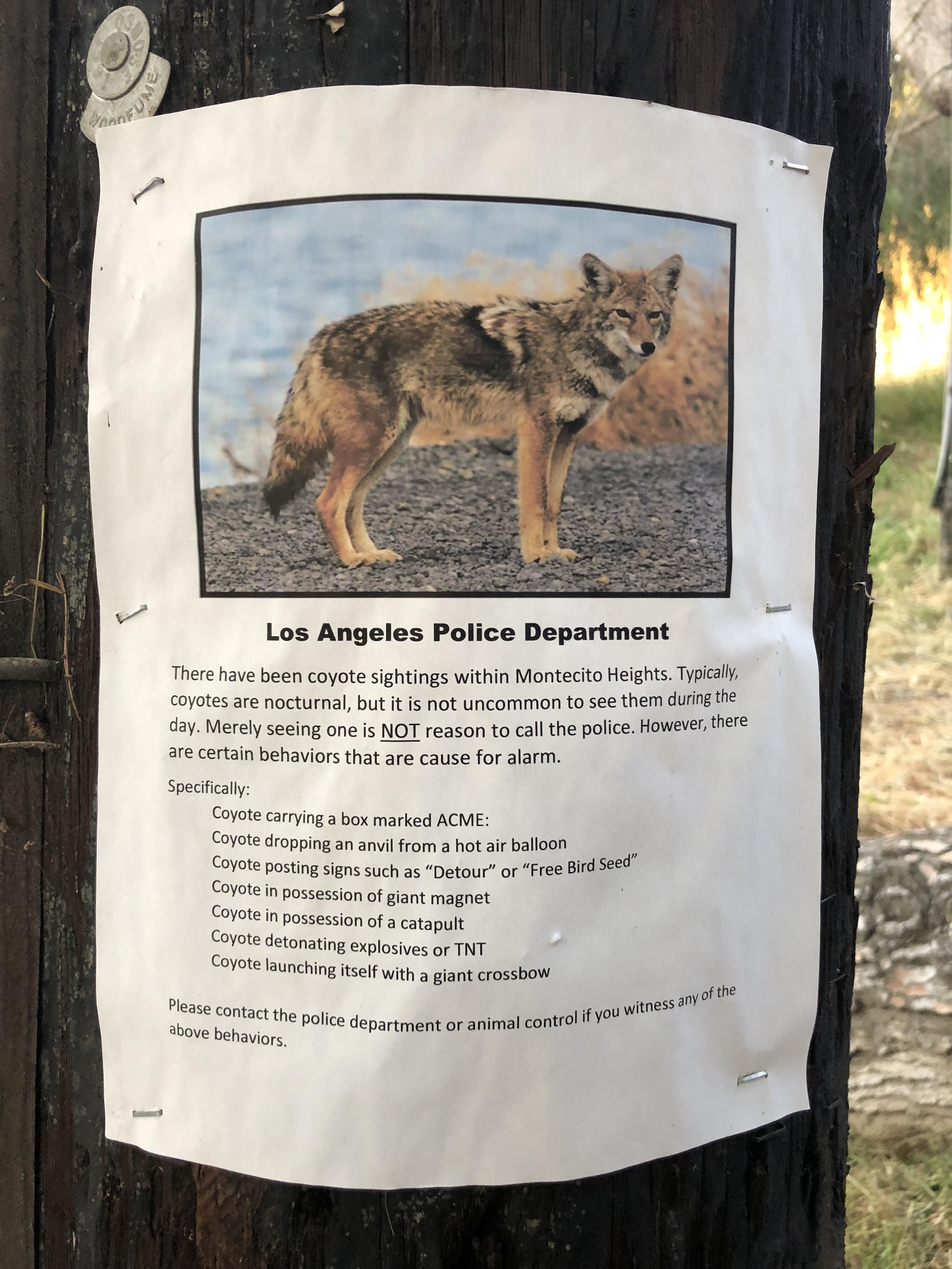 LAPD: Basically don’t call us about coyotes.