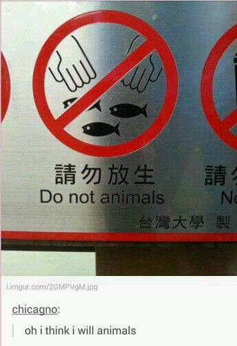 i will also animal