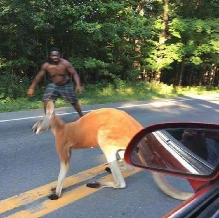 uber in a land down under