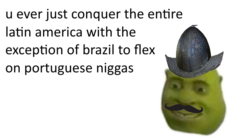Isn't portuguese a form of spanish ? ¯\_(ツ)_/¯