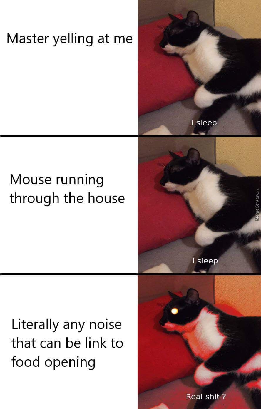 Posted cus Catto