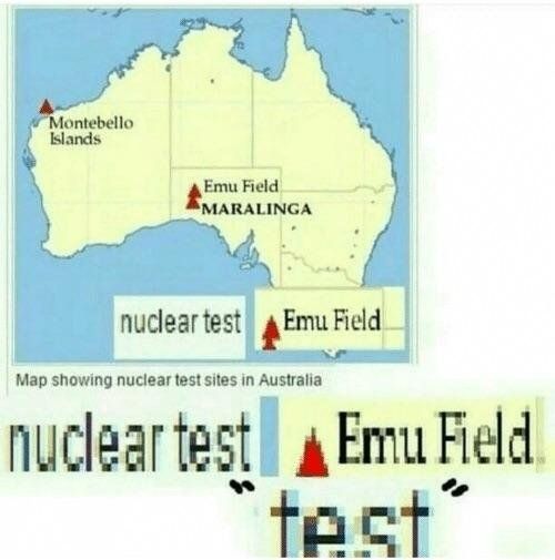 No more emus