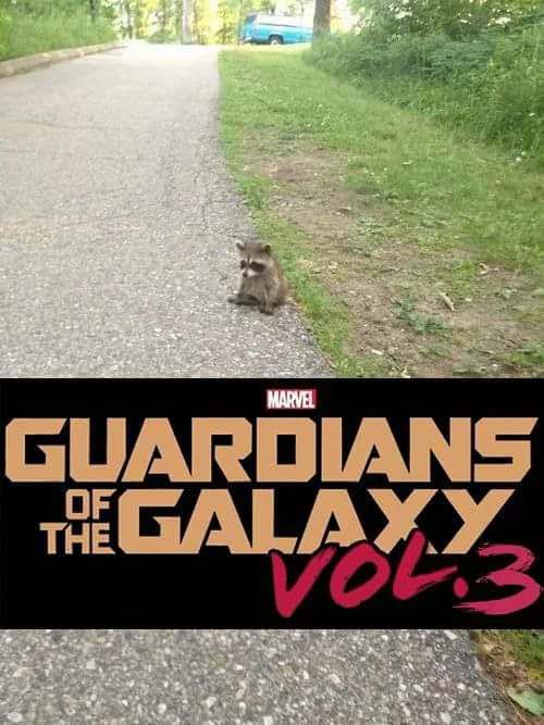 Rabbit's revenge