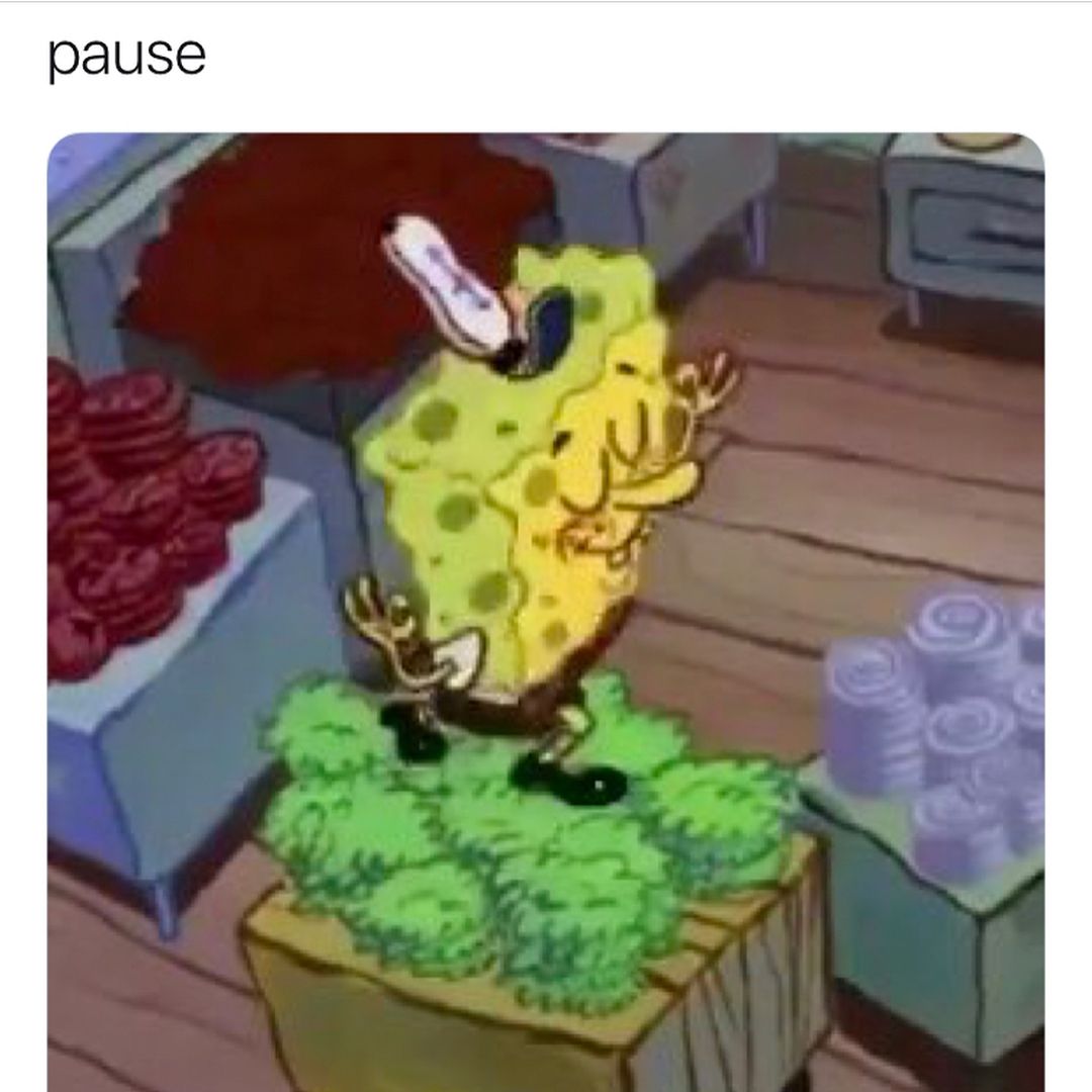 wtf it was spongebob all along