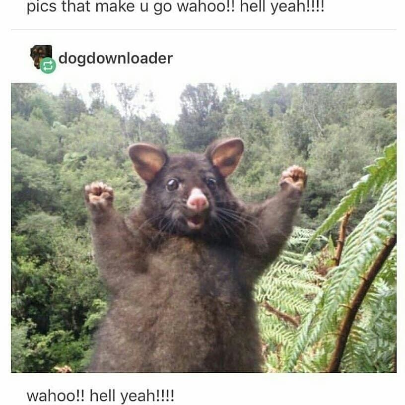 wahoo!!