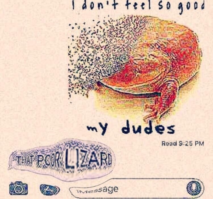 yis