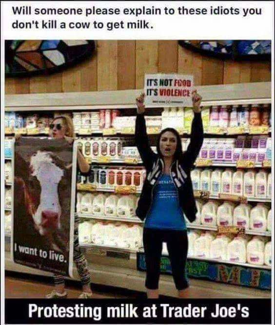 I dont know about you, but I only drink milk from living cows.
