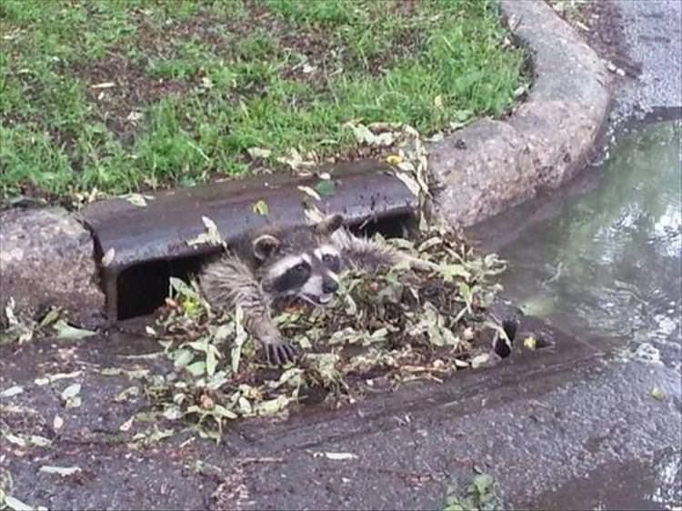we all float down here