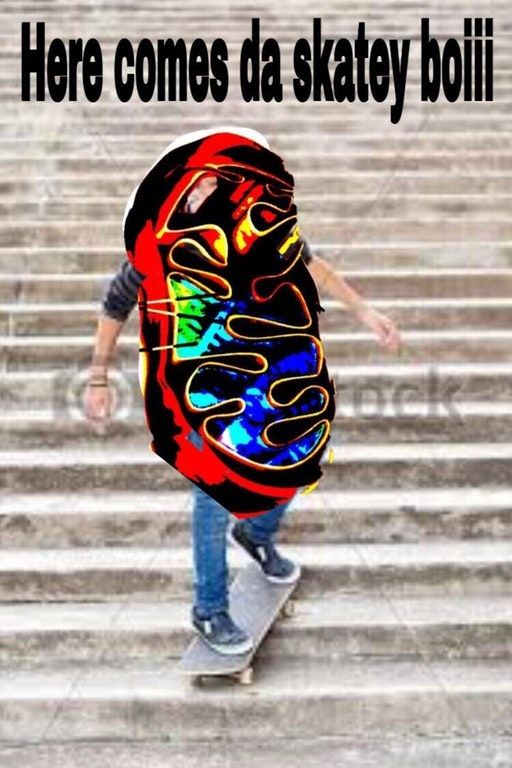 THE MITOCHONDRIA IS THE POWERHOUSE OF THE CELLS