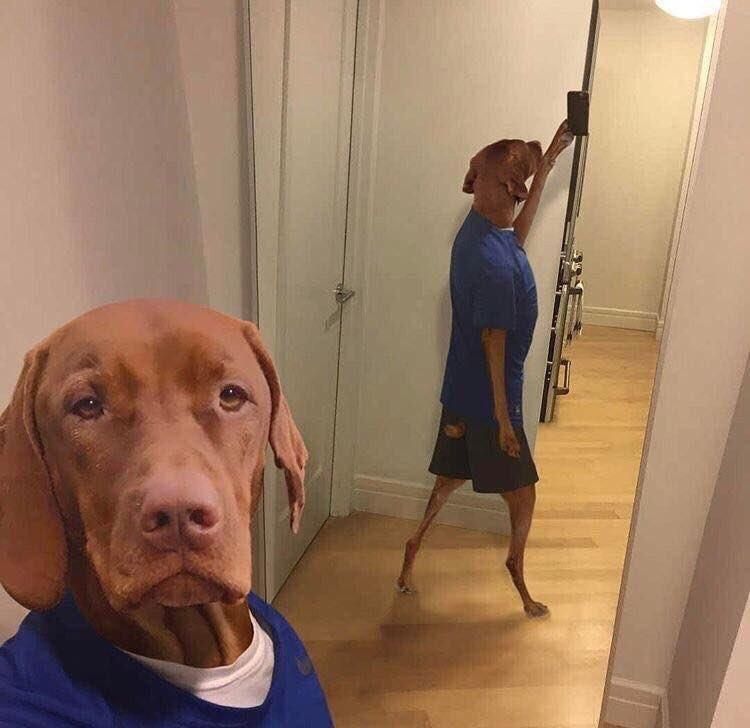 Thought I looked cute in this selfie, I might delete later though