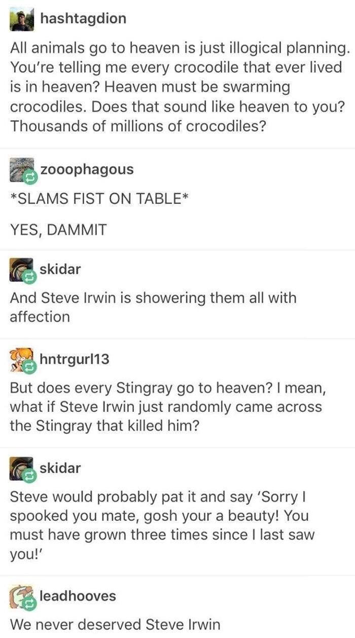 Steve Irwin's in heaven.