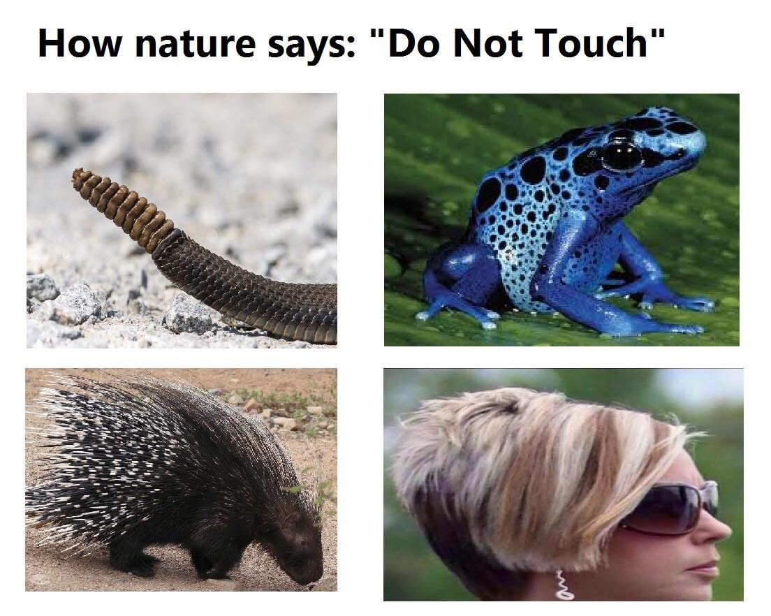 How nature says don't touch