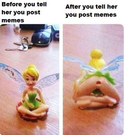 ~ OC ~