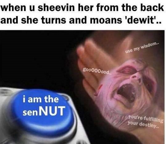 SenNUT