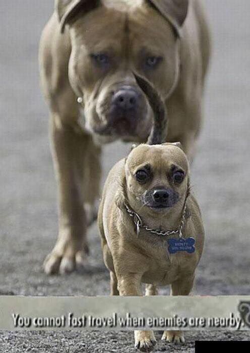 woof