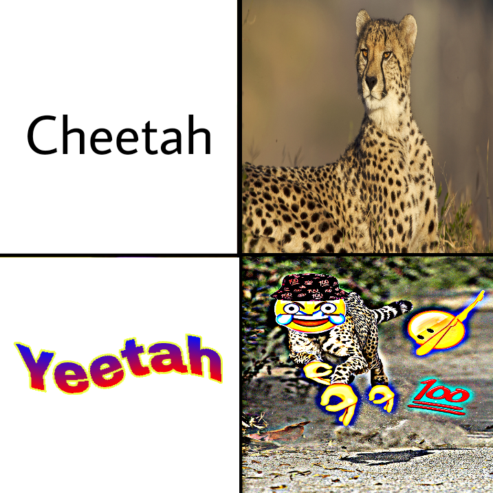 yeet