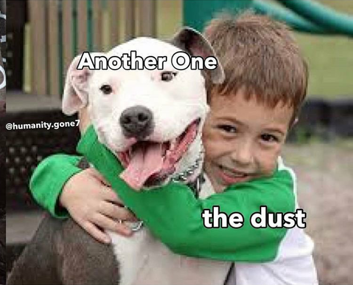 both of these memes can die now