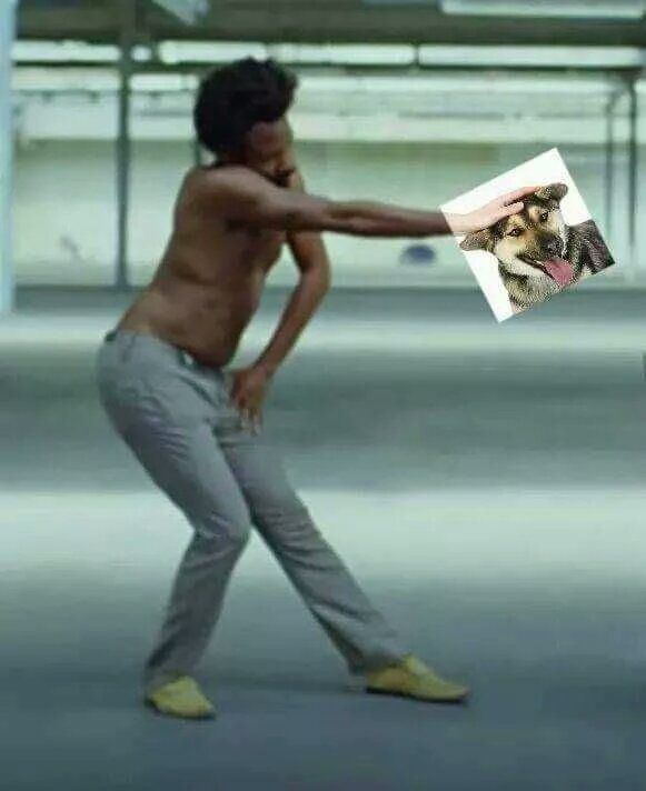 This is dog
